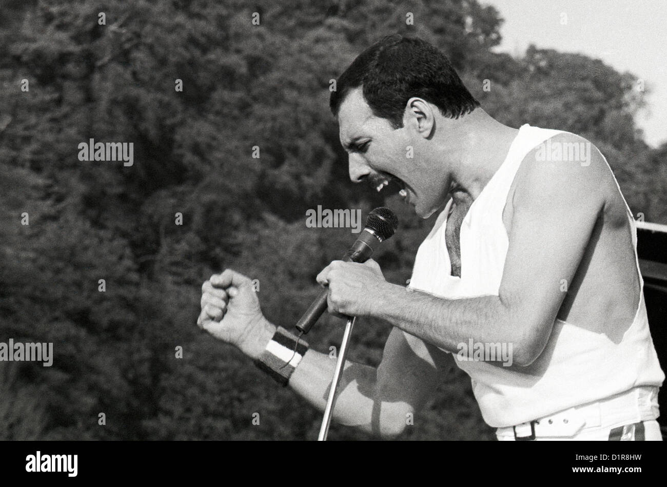 Queen Slane Queen slane 1986 immagini e fotografie stock ad alta risoluzione - Alamy