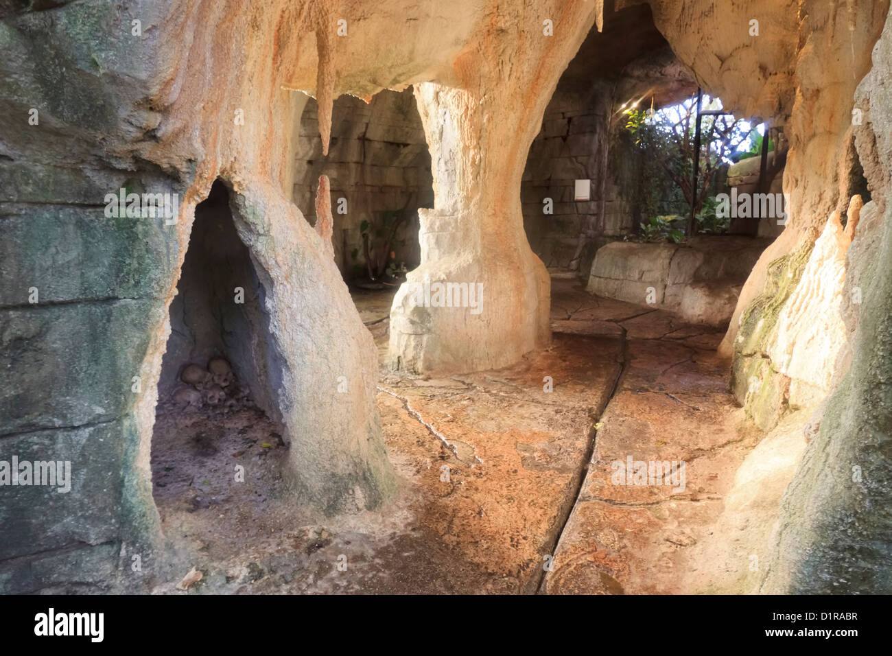 Le grotte artificiali all'interno del sud americana dome, Randers Regnskov zoo, Randers, Danimarca Foto Stock