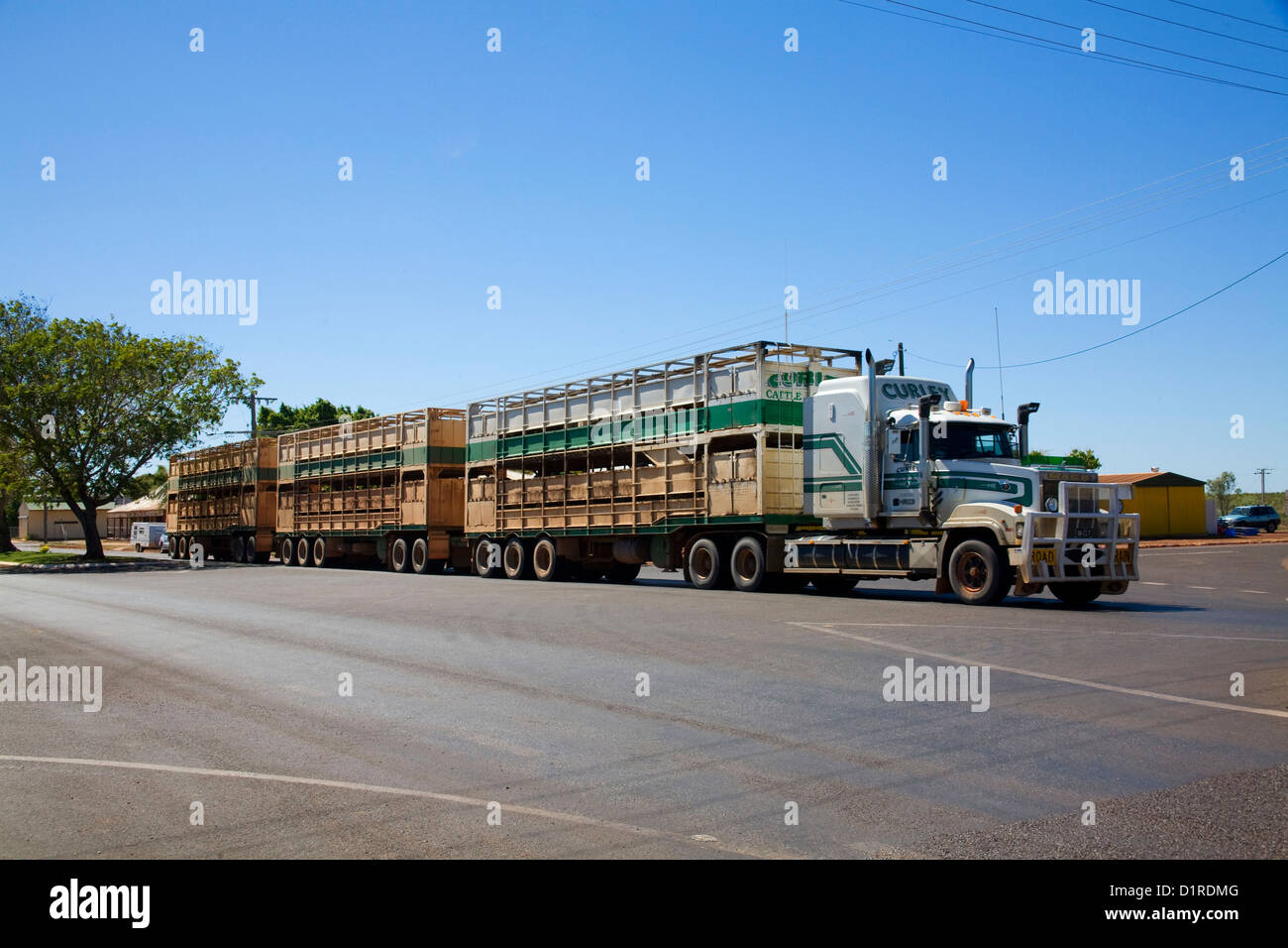 Caricato con il bestiame Roadtrain passando attraverso Normanton Queensland Foto Stock