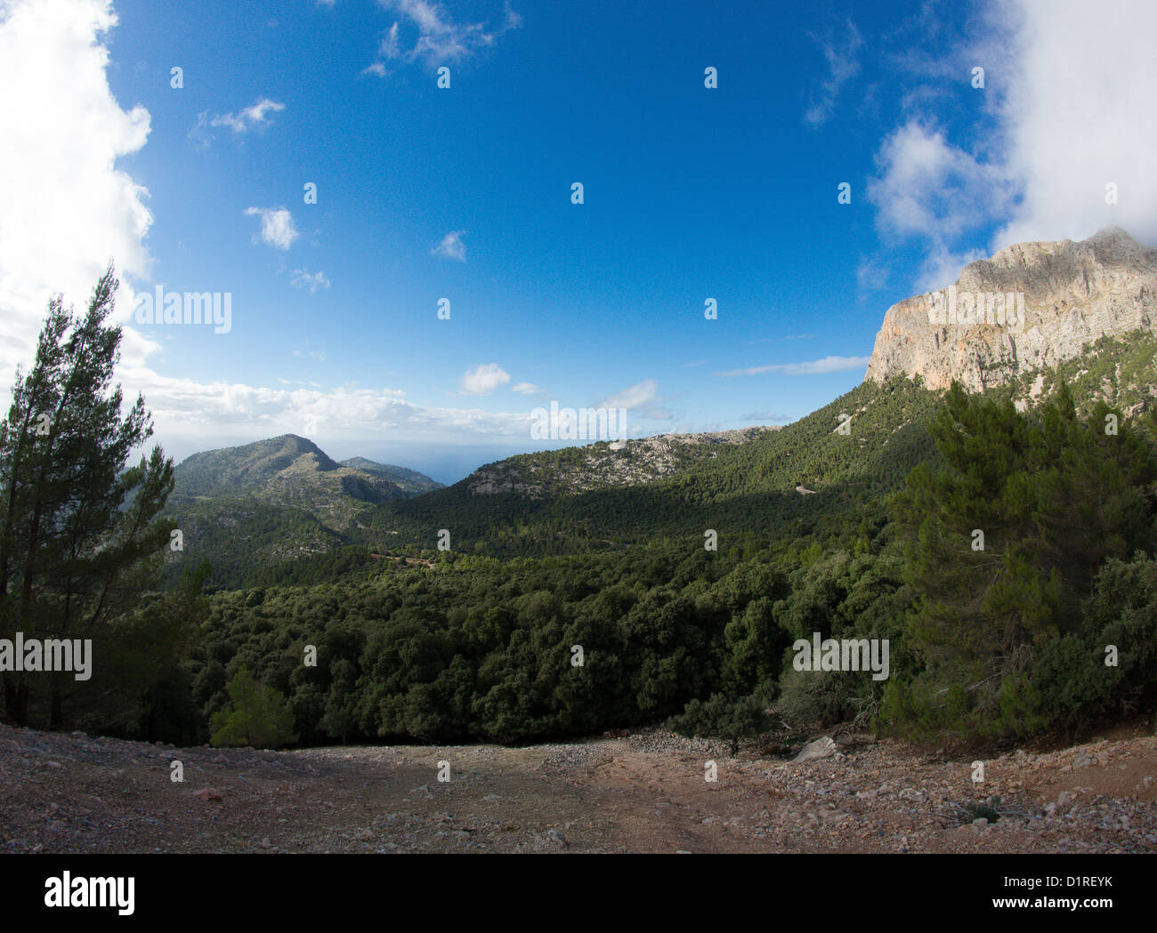 La valle di Soller sulla costa nordoccidentale dell'isola spagnola Mallorca Foto Stock