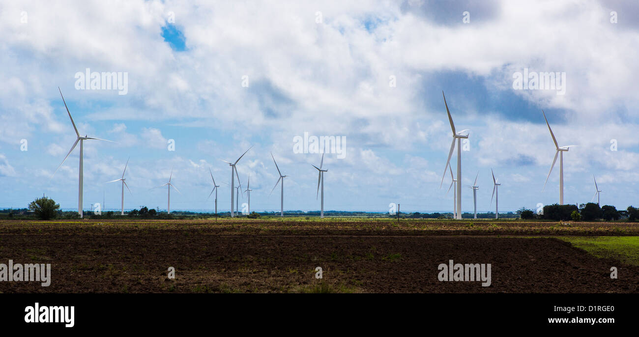 PONCE, PUERTO RICO - Mulini a vento la generazione di elettricità a partire da energia eolica, sul litorale sud nei pressi di Santa Isabel a est di Ponce. Foto Stock