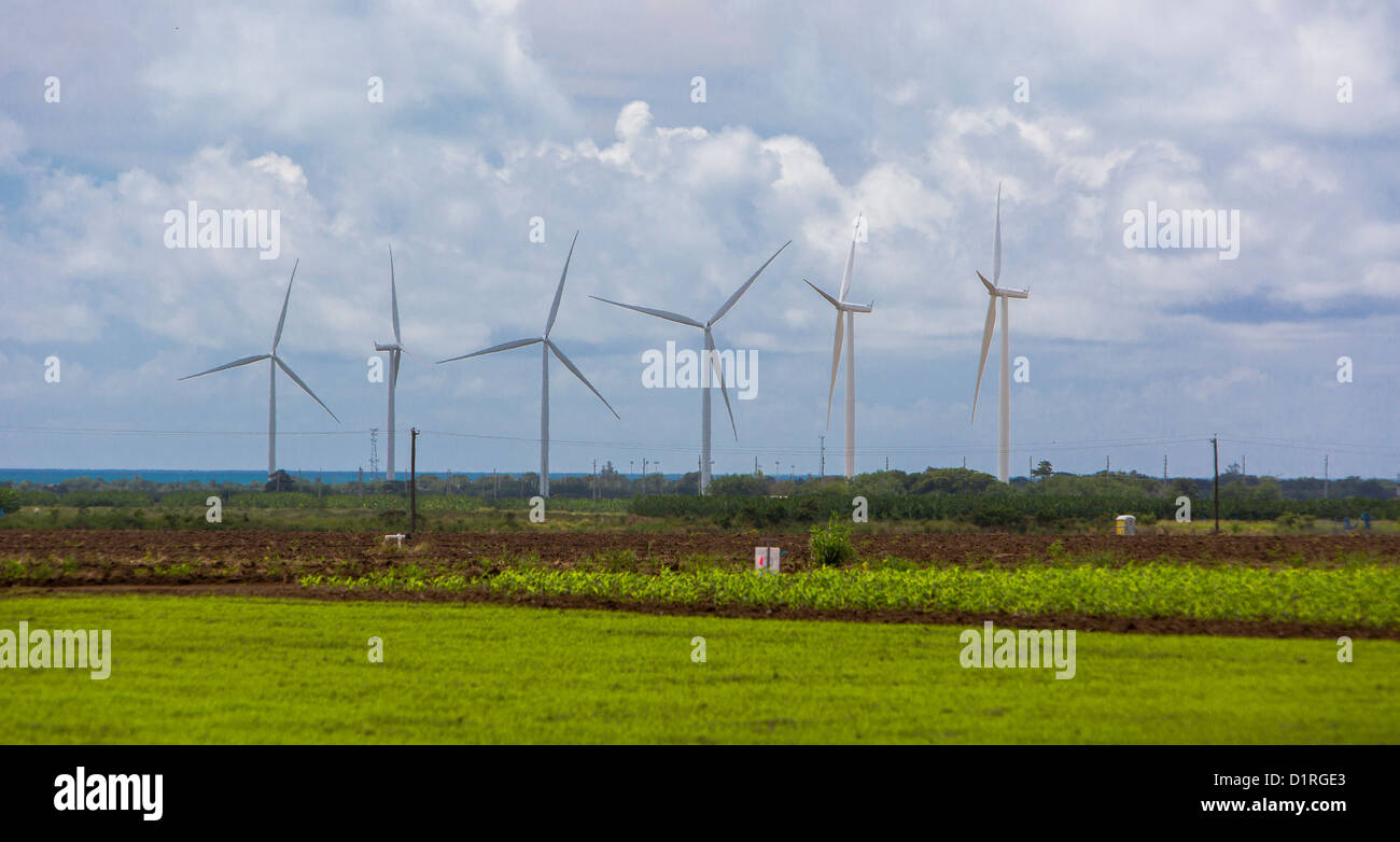 PONCE, PUERTO RICO - Mulini a vento la generazione di elettricità a partire da energia eolica, sul litorale sud nei pressi di Santa Isabel a est di Ponce. Foto Stock