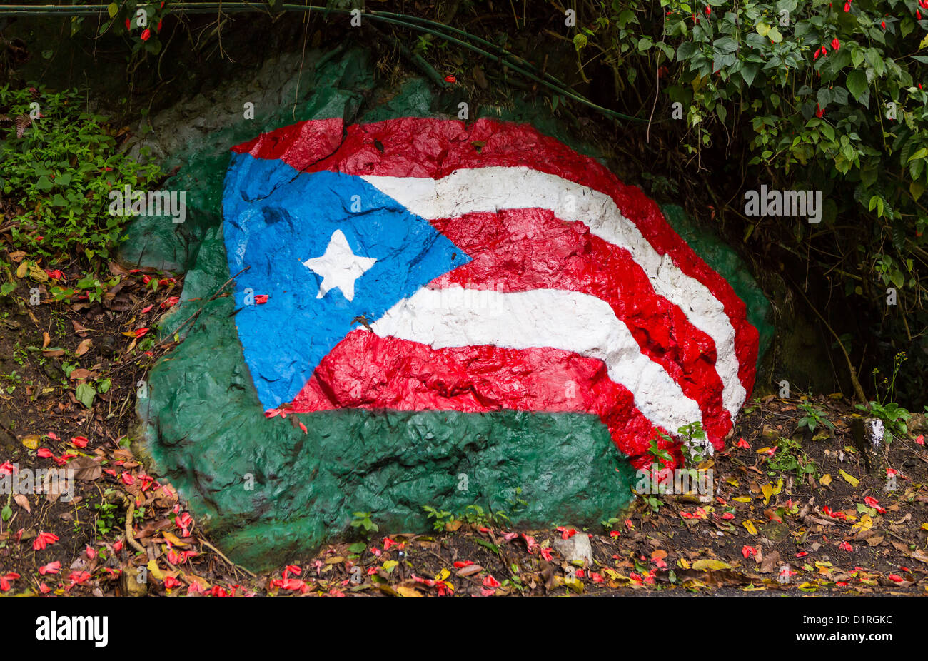 ADJUNTAS, PUERTO RICO - Puerto Rico bandiera dipinta su roccia su strada. Foto Stock