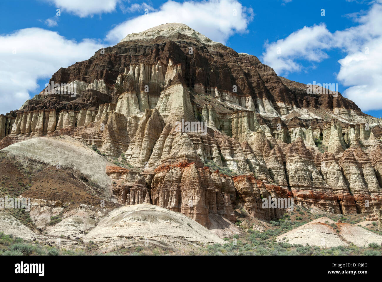 Badlands erosi nel bacino Chaulk, Owyhee River, Oregon. Foto Stock