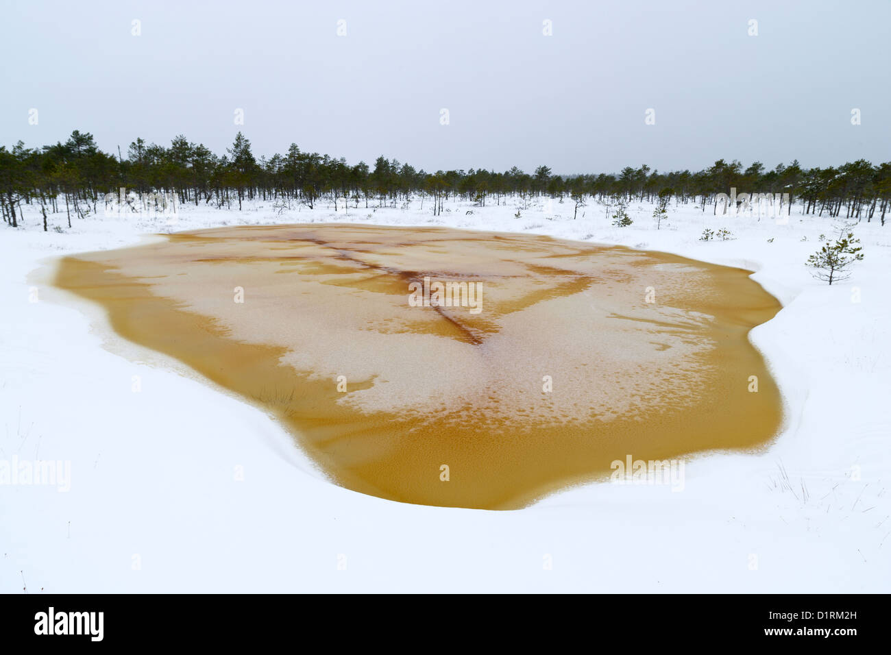 Giallo su ghiaccio bog piscina Foto Stock