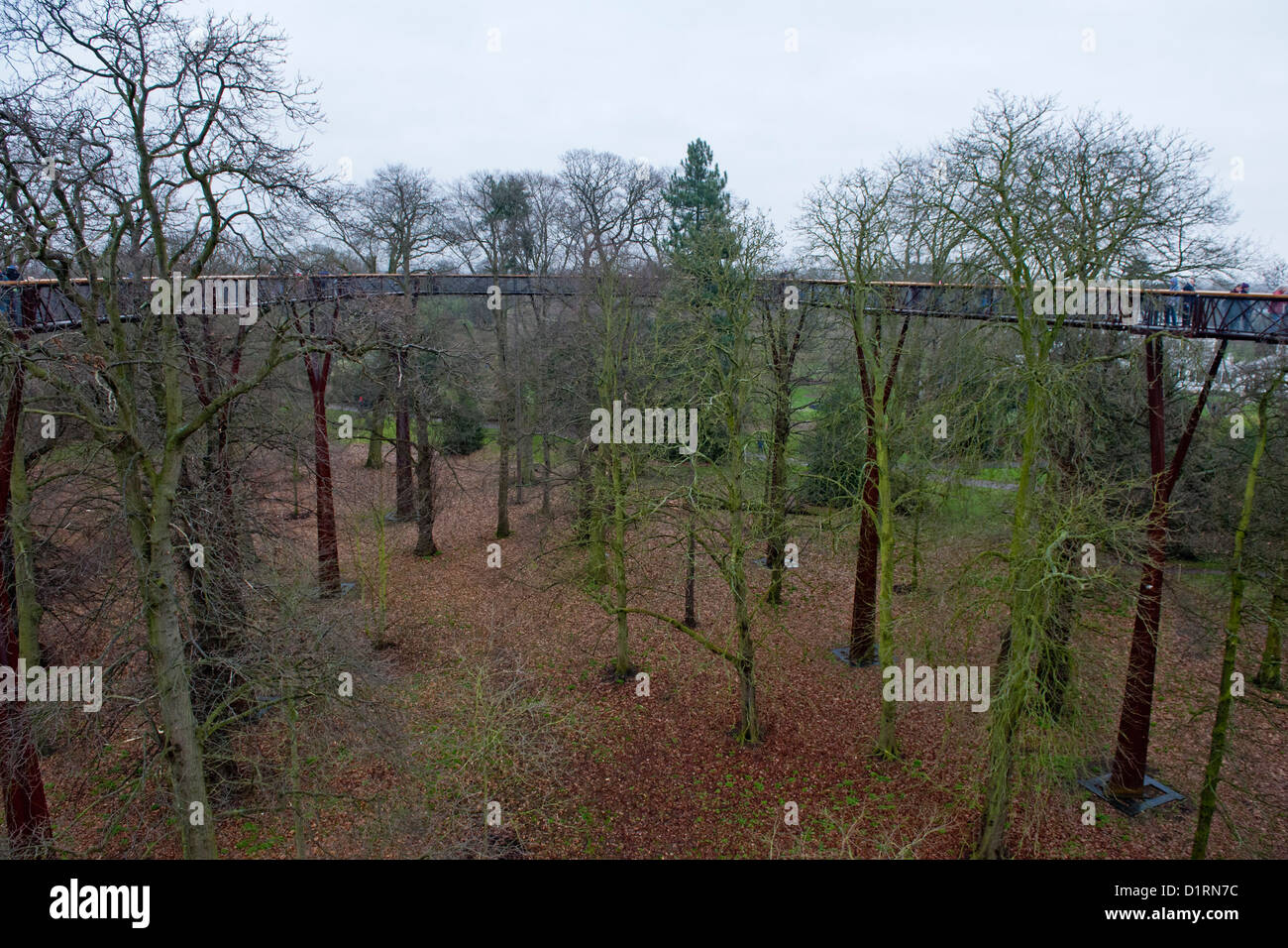La Xstrata Treetop marciapiede, dà un 18 metri di Alta Vista della tettoia di alberi. Kew Gardens di Kew, Londra, 02 gennaio 2012. Foto Stock