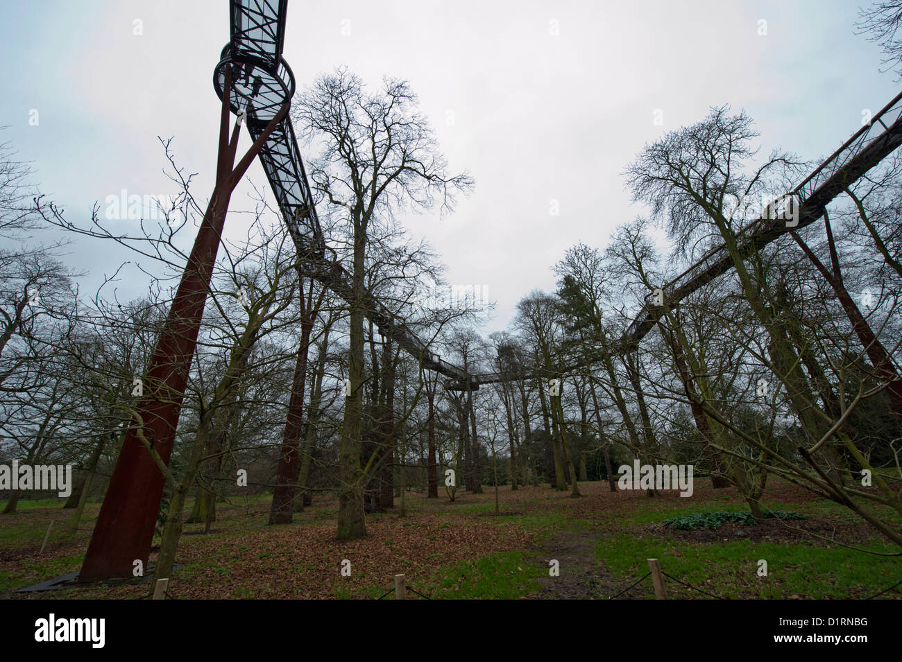 La Xstrata Treetop marciapiede, dà un 18 metri di Alta Vista della tettoia di alberi. Kew Gardens di Kew, Londra, 02 gennaio 2012. Foto Stock