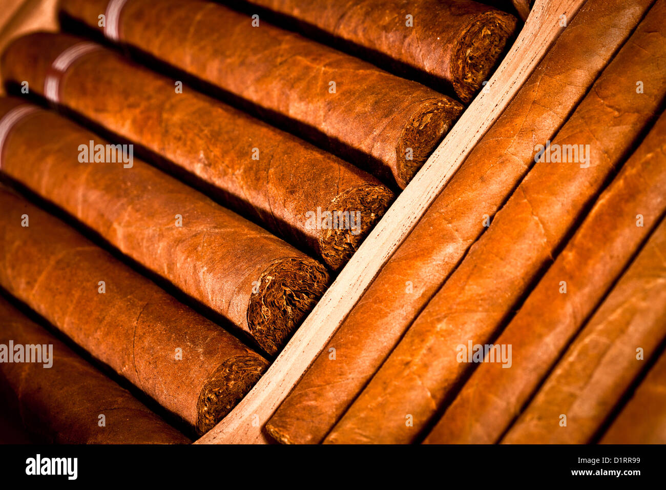 Alcuni laici i sigari in humidor Foto Stock