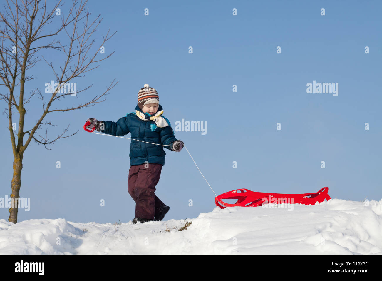 Little Boy avendo divertimento con lo slittino su una collina nevoso Foto Stock