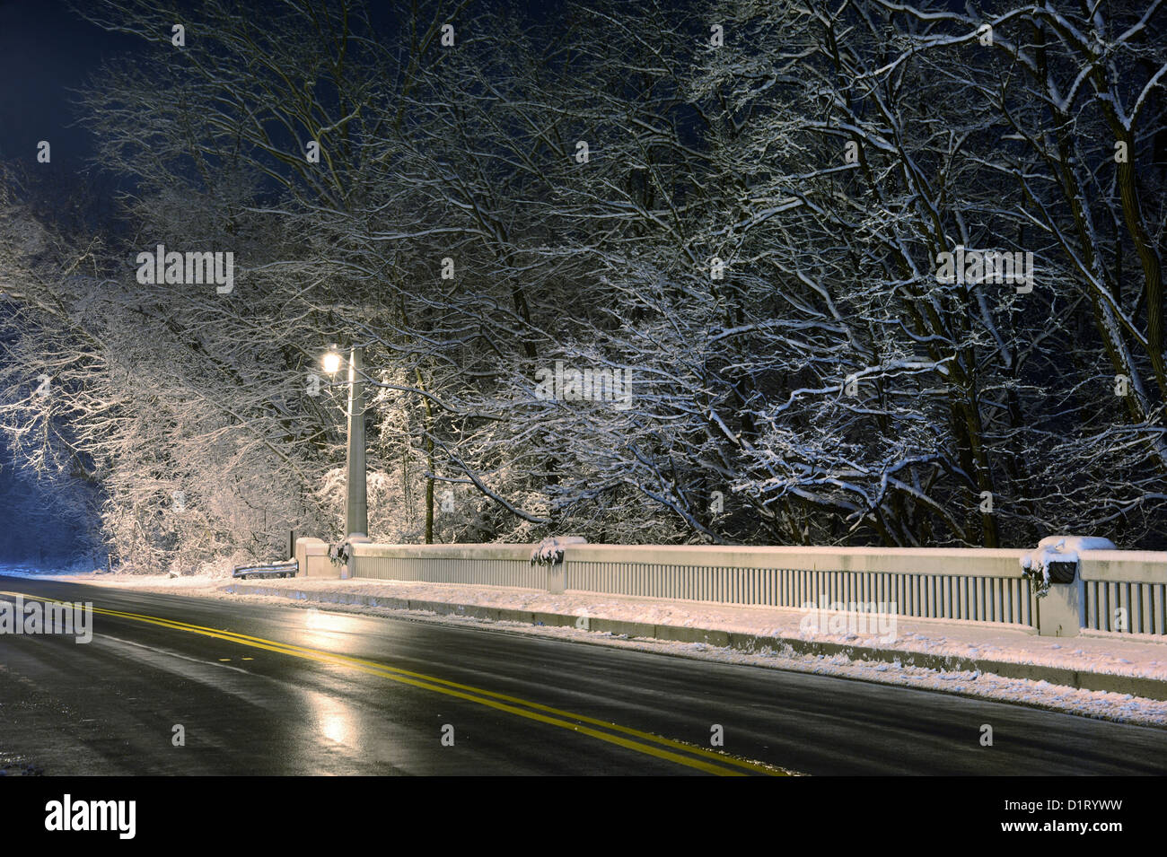 Coperta di neve alberi & Street In Inverno Meteo Foto Stock
