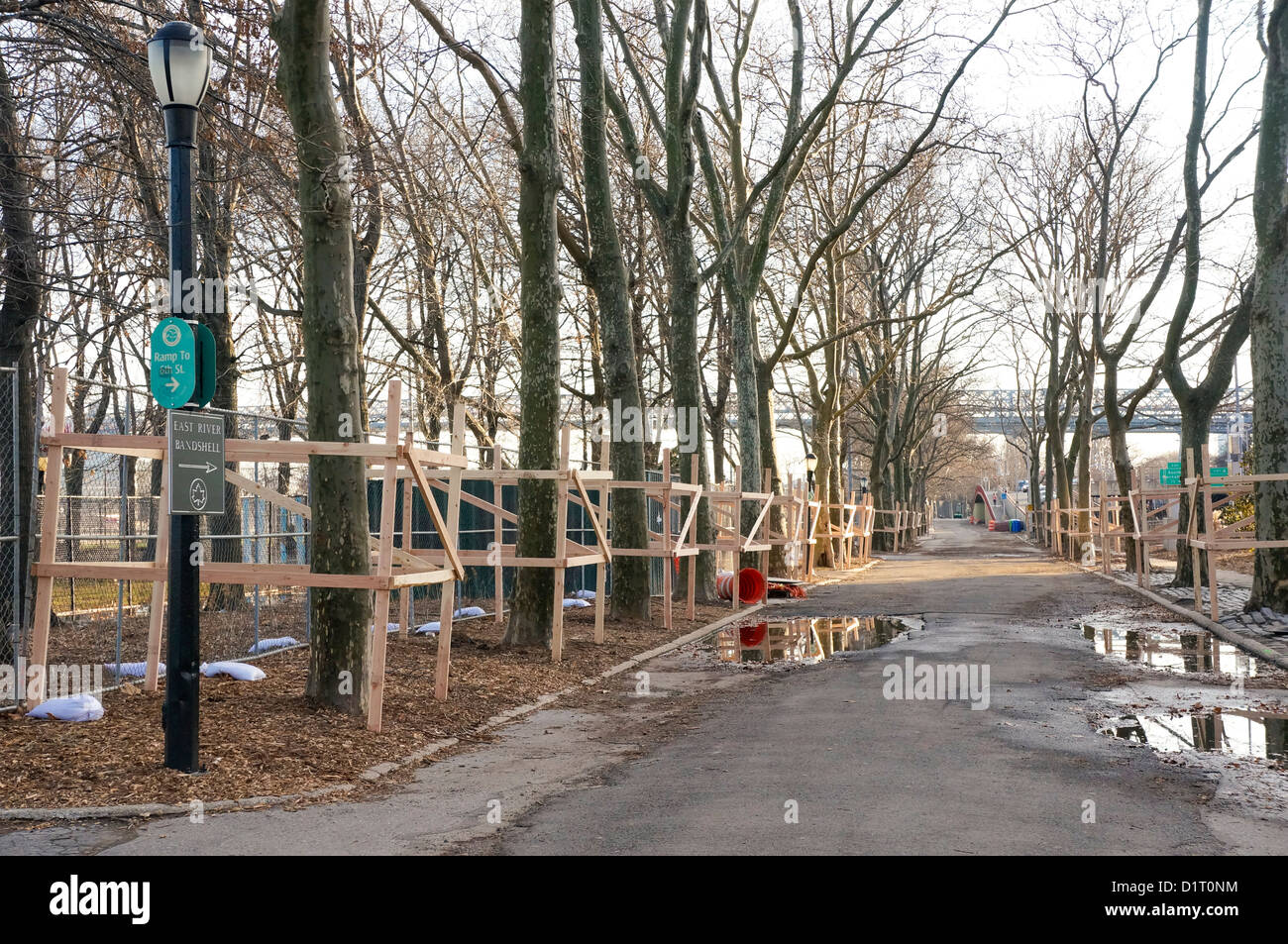 Alberi controventata prima dell uragano Sandy in East River Park, New York City Foto Stock