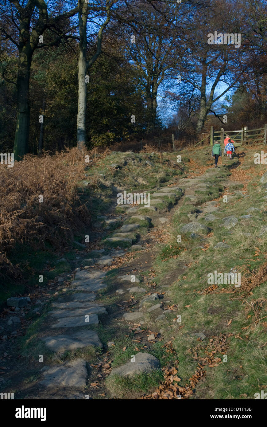 Tre bambini correre avanti salendo il ripido sentiero fino attraverso piantagioni di bordo Stanage, Peak District, Derbyshire, Regno Unito Foto Stock