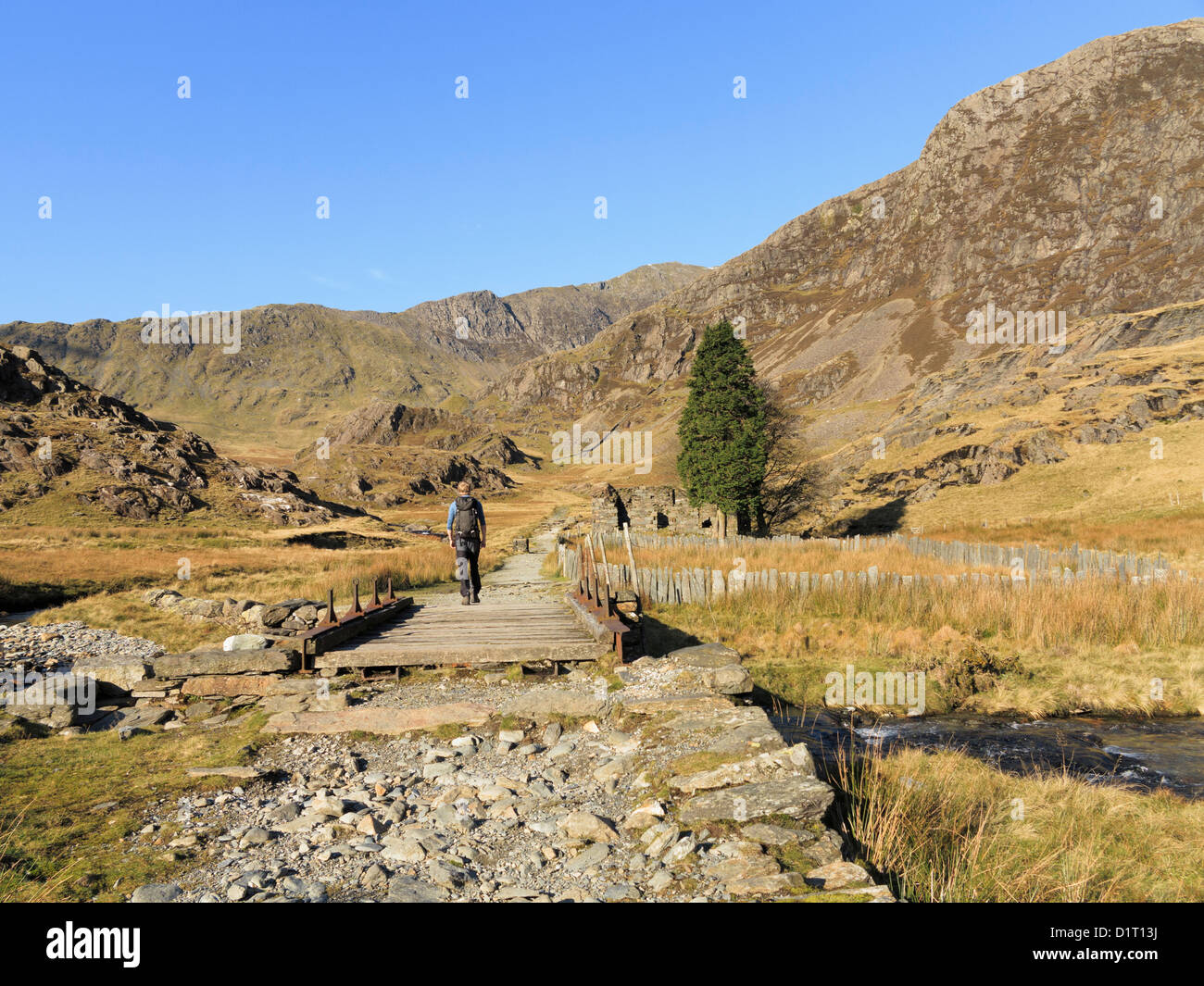 Walker sul Watkin percorso di Snowdon nel Cwm LLan valley, Snowdonia National Park, il Galles del Nord, Regno Unito, Gran Bretagna Foto Stock