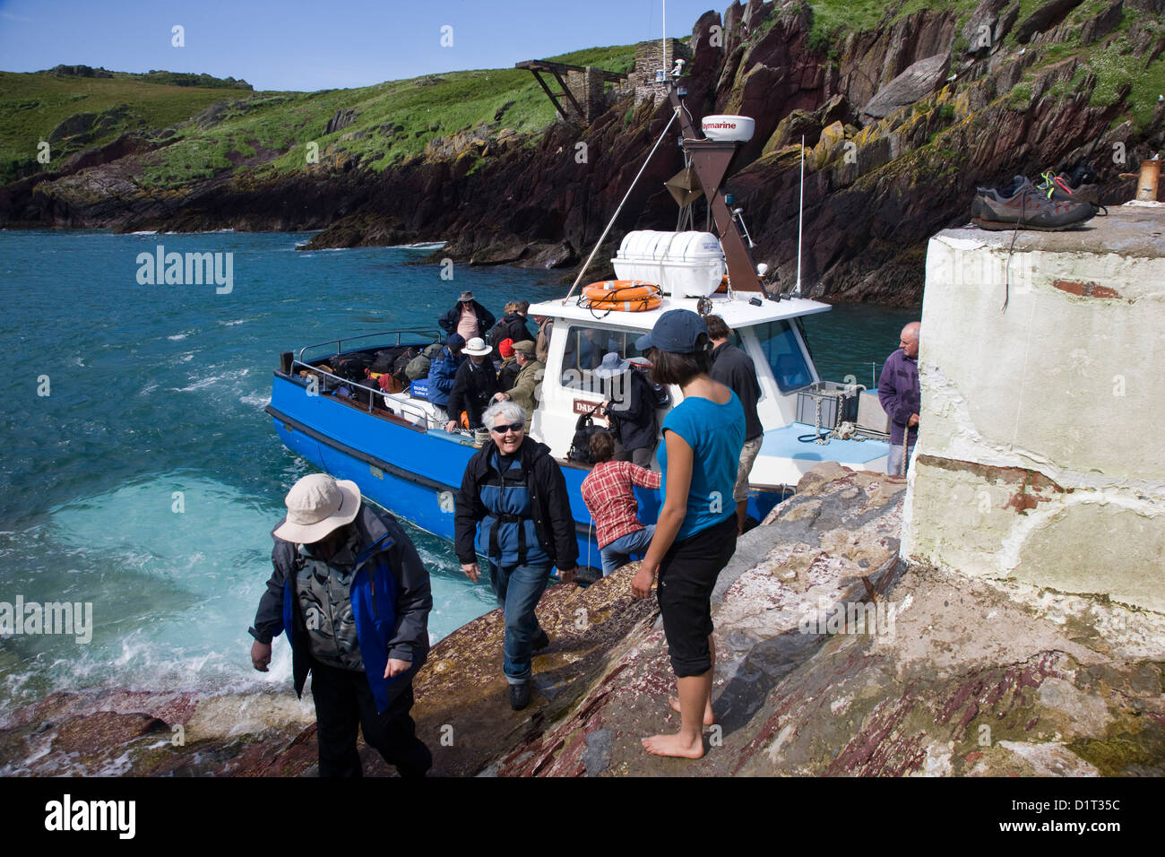 I visitatori che arrivano sul Welsh riserva naturale di Skokholm Island in Pembrokeshire Foto Stock