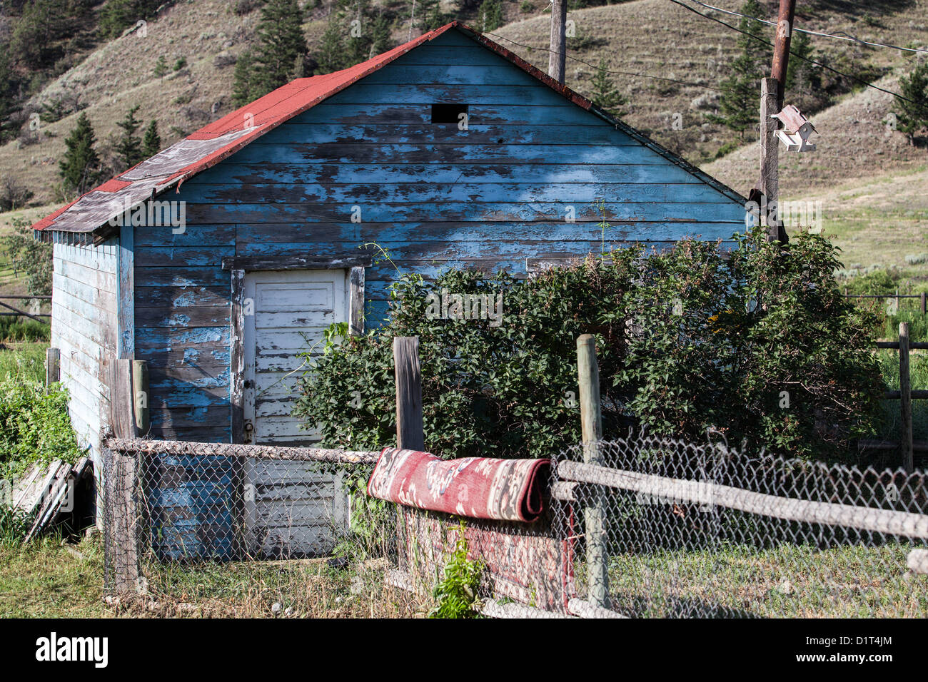 Edificio secondario blu stagionato con tetto rosso, racchiuso da una recinzione a maglia di catena con un tappeto drappeggiato sopra, la facciata parzialmente ricoperta da arbusti. Gorman Road, Thompson-Nicola Regional District, Columbia Britannica, Canada Foto Stock