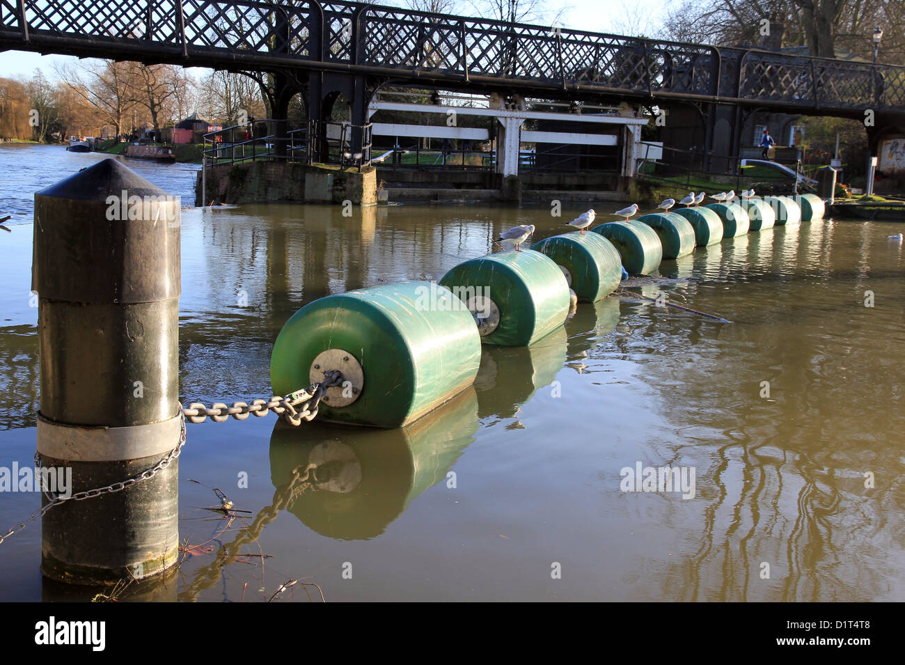 Gesù passerella di bloccaggio con barriere di sicurezza tethered boe sul fiume Cam, Cambridge, Inghilterra, Regno Unito. Foto Stock