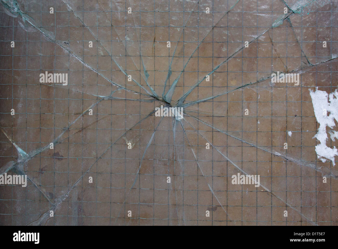 Rotto il vetro di sicurezza con crepe irradiare verso l'esterno in un ragni formazione sul web Foto Stock