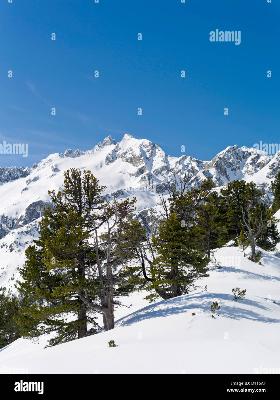 Alpi Zillertertal nel Parco Nazionale Hohe Tauern durante l'inverno. Sunrise oltre mt Reichenspitze e Mt Gabler, Austria. Foto Stock