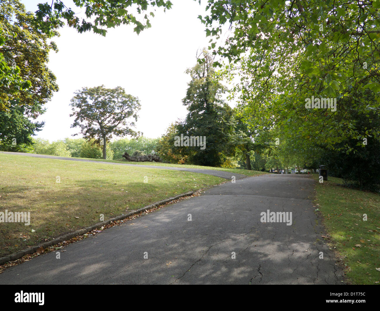 Fotografia paesaggio di alberi in Roundwood Park, North West London, NW10, Regno Unito Foto Stock