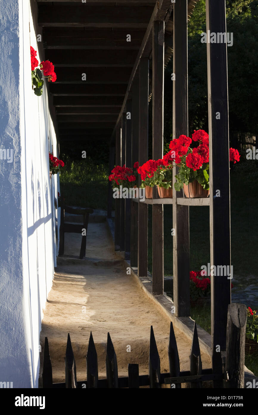 Il villaggio di Hollokoe, patrimonio mondiale dell UNESCO. Decorazioni floreali. L'Europa, Ungheria Foto Stock