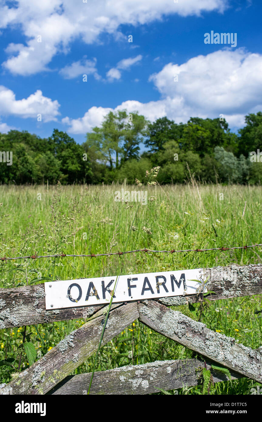 Vecchia Fattoria e fieno Prato NORFOLK REGNO UNITO Foto Stock
