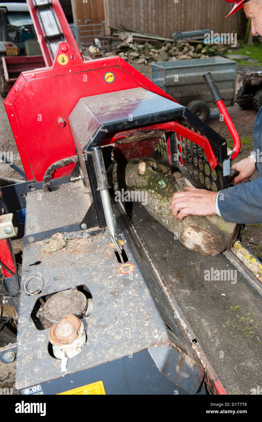 Forestazione legname di caricamento su una registrazione e banco di splitter. Foto Stock