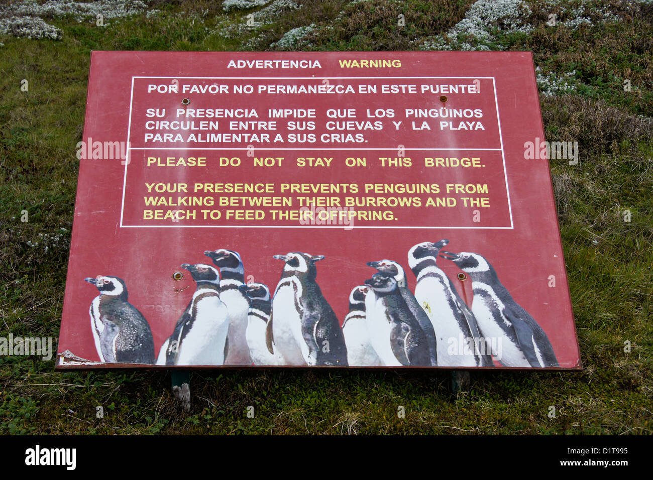 Segnale di avvertimento in corrispondenza di Seno Otway penguin riserva, Patagonia, Cile Foto Stock