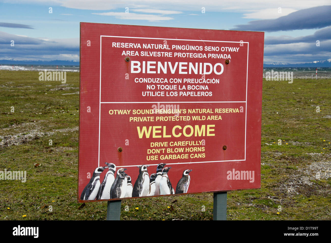 Segno in Seno Otway penguin riserva, Patagonia, Cile Foto Stock