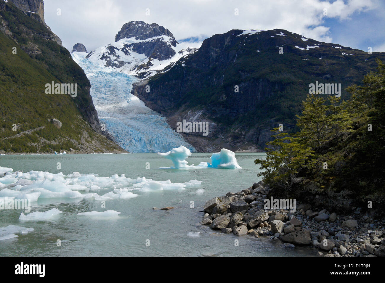 Ghiacciaio Serrano, Bernardo O'Higgins National Park, Patagonia, Cile Foto Stock