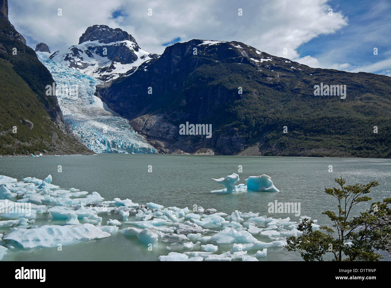 Ghiacciaio Serrano, Bernardo O'Higgins National Park, Patagonia, Cile Foto Stock