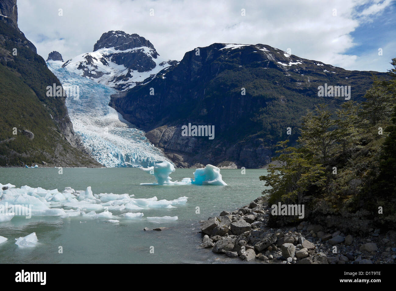 Ghiacciaio Serrano, Bernardo O'Higgins National Park, Patagonia, Cile Foto Stock