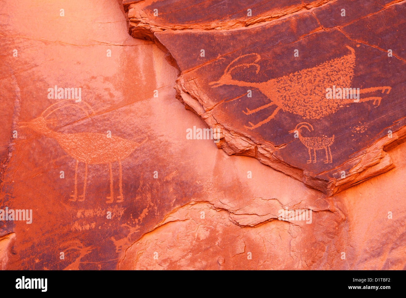 Incisioni rupestri in Monument Valley, Arizona, Stati Uniti d'America Foto Stock