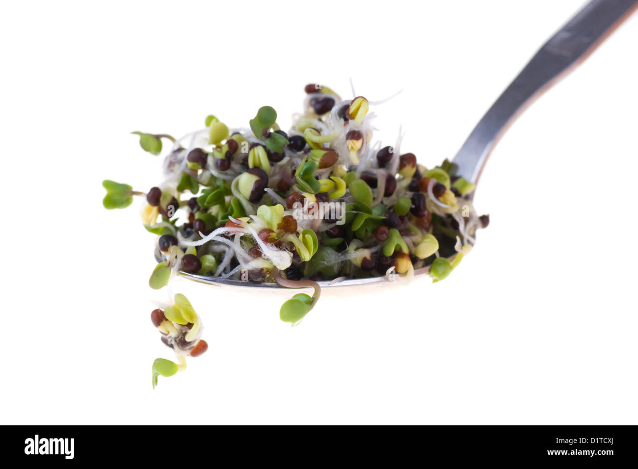 I germogli di Brocoli su un cucchiaio isolati su sfondo bianco Foto Stock
