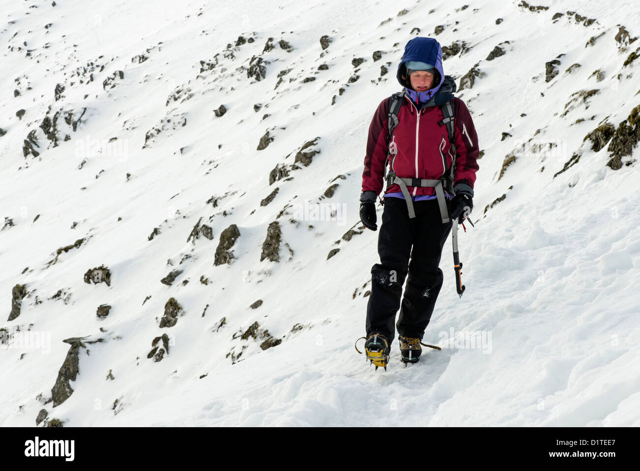 Un hillwalker su Snowdon in condizioni invernali Foto Stock