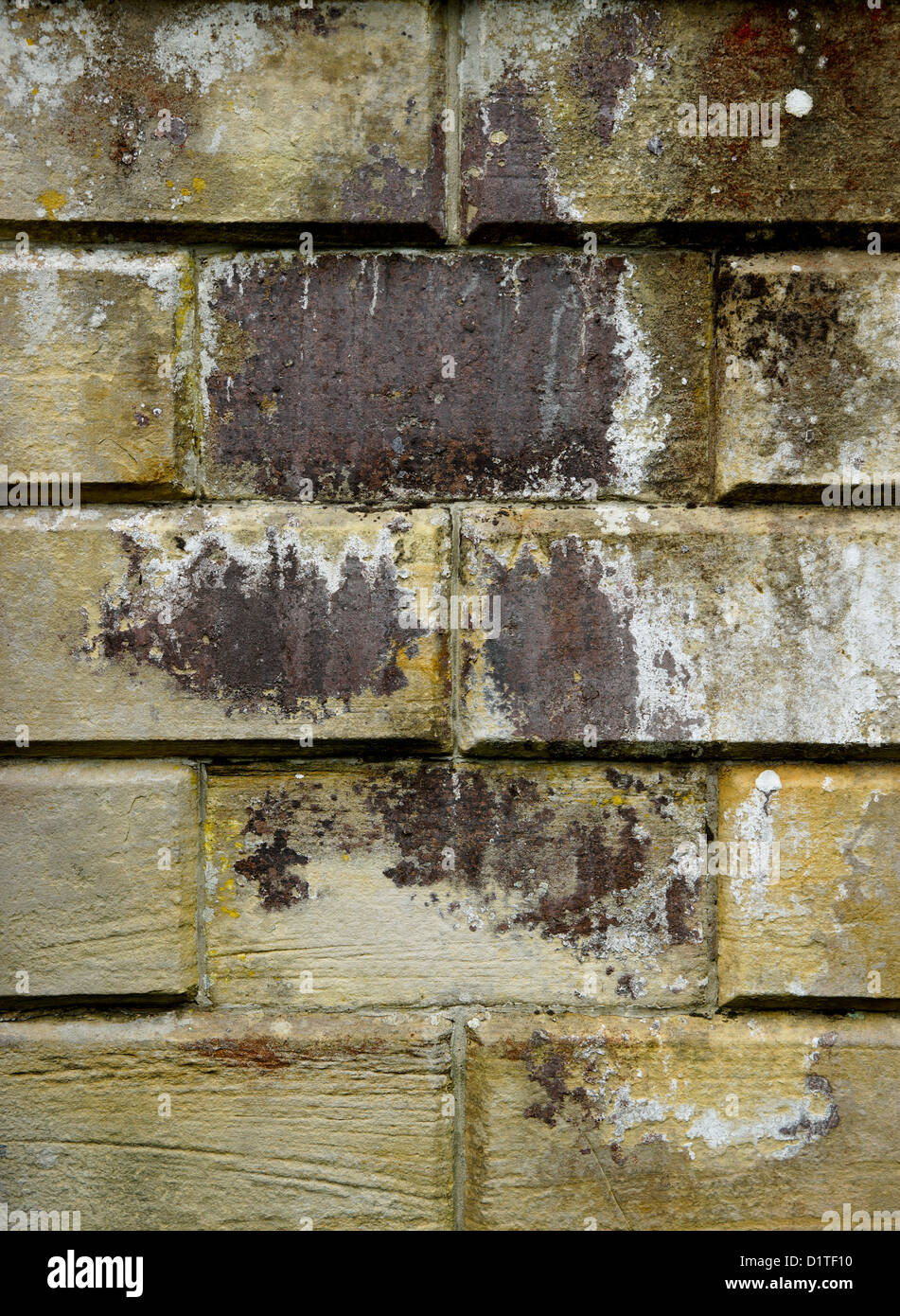 Muro di pietra naturale sfondo Texture Foto Stock
