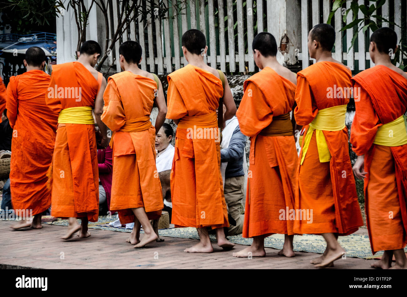 Cerimonia dei monaci buddisti Tak Bat Alms Luang Prabang Laos // LUANG PRABANG, Laos - monaci buddisti e novizi in lucenti vesti di zafferano camminano in un unico file per le strade di Luang Prabang durante la cerimonia di consegna delle elemosine del mattino presto conosciuta come tak bat. Questo rituale quotidiano è fondamentale per la tradizione buddista Theravada, dove i monaci raccolgono offerte di cibo da devoti locali e visitatori che costeggiano il percorso. La cerimonia in genere inizia prima dell'alba e rappresenta la fiducia dei monaci nella comunità per il sostentamento, fornendo al contempo ai laici l'opportunità di guadagnare meriti attraverso il dono. Luang Prabang, una U Foto Stock
