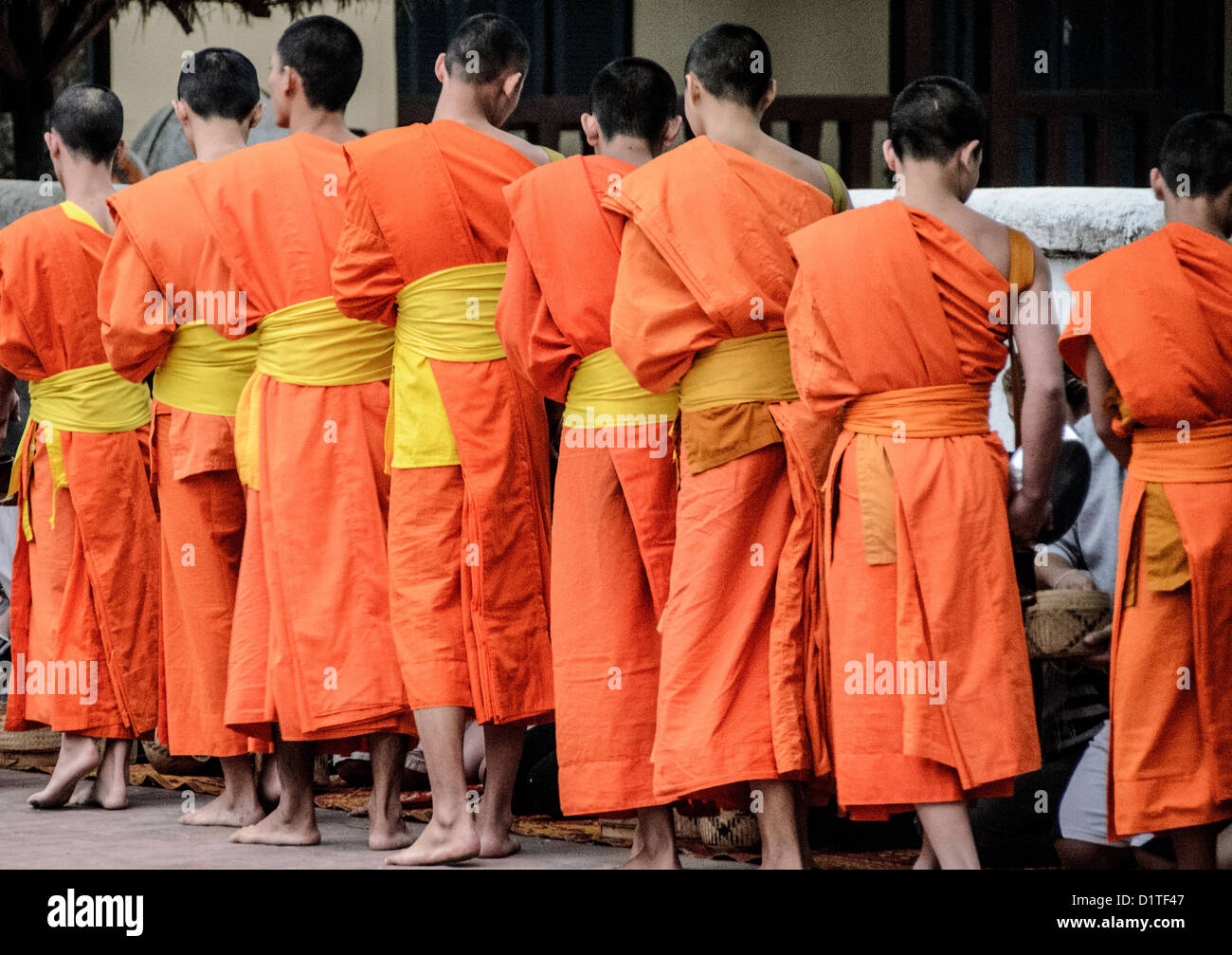 Cerimonia dei monaci buddisti Tak Bat Alms Luang Prabang Laos // LUANG PRABANG, Laos - monaci buddisti e novizi in lucenti vesti di zafferano camminano in un unico file per le strade di Luang Prabang durante la cerimonia di consegna delle elemosine del mattino presto conosciuta come tak bat. Questo rituale quotidiano è fondamentale per la tradizione buddista Theravada, dove i monaci raccolgono offerte di cibo da devoti locali e visitatori che costeggiano il percorso. La cerimonia in genere inizia prima dell'alba e rappresenta la fiducia dei monaci nella comunità per il sostentamento, fornendo al contempo ai laici l'opportunità di guadagnare meriti attraverso il dono. Luang Prabang, una U Foto Stock
