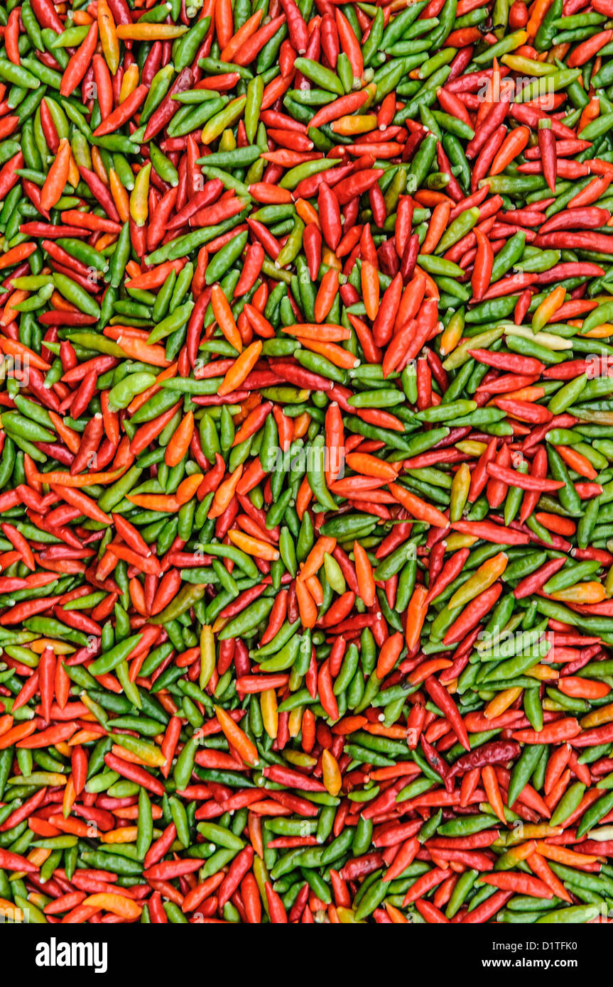 Peperoncini al mercato mattutino Luang Prabang Laos // LUANG PRABANG, Laos - un assortimento di peperoncini freschi in vivaci tonalità rosso, verde e arancio riempie un'esposizione al mercato mattutino. I peperoni, tra cui varietà conosciute localmente come Mak PET Ki Nuu, sono componenti essenziali della cucina laotiana e sono comunemente usati in piatti tradizionali in tutta la regione. Il mercato mattutino è operativo tutti i giorni in questa città patrimonio dell'umanità dell'UNESCO, che è stata designata per il suo patrimonio architettonico e culturale ben conservato. Luang Prabang servì come capitale reale del Regno del Laos fino al 197 Foto Stock