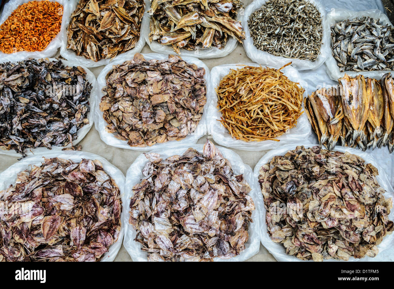Frutti di mare essiccati in vendita Luang Prabang Laos // LUANG PRABANG, Laos — un assortimento di calamari secchi e salati, gamberi e pesci in mostra per la vendita al mercato mattutino di Luang Prabang. Questi piatti di pesce conservati sono ingredienti fondamentali della cucina tradizionale del Laos, apprezzati per i loro sapori concentrati e la lunga durata di conservazione nel clima tropicale. Il mercato mattutino funge da fulcro centrale per i venditori locali e i residenti per commerciare prodotti freschi, cibi preparati e prodotti conservati. Luang Prabang, un sito patrimonio dell'umanità dell'UNESCO, mantiene molte pratiche tradizionali, tra cui queste storiche Foto Stock
