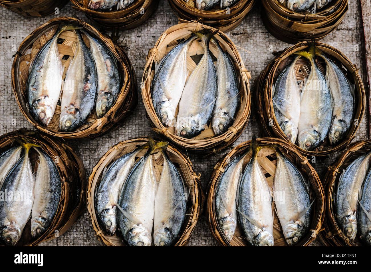 Pesce al vapore nei cesti di Luang Prabang Laos // LUANG PRABANG, Laos - il pesce intero al vapore è esposto nei tradizionali cesti di bambù al mercato mattutino di Luang Prabang. Il metodo di preparazione rappresenta le tradizionali tecniche di cottura laotiana che enfatizzano la cottura a vapore come metodo primario per la preparazione del pesce d'acqua dolce. Il pesce d'acqua dolce costituisce una pietra angolare della cucina del Laos, con il fiume Mekong e i suoi affluenti che forniscono abbondanti varietà consumate in tutto il paese. Il mercato mattutino di Luang Prabang funge da fulcro centrale per i venditori locali che vendono cibi tradizionali, prodotti freschi e preparati Foto Stock