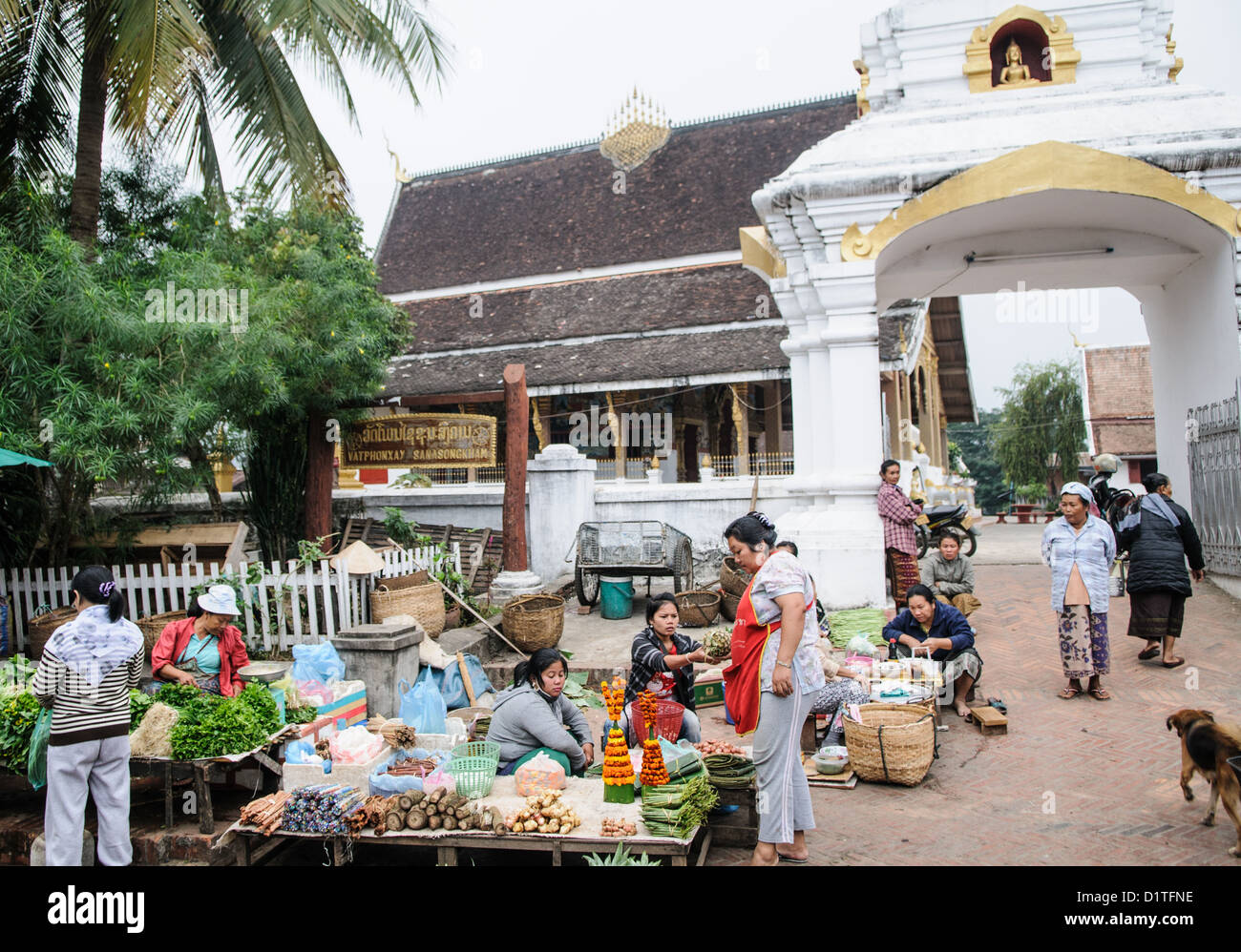 Mercato mattutino vicino a Wat Phonxay Sanasongkham Luang Prabang Laos // LUANG PRABANG, Laos - i venditori del mercato organizzano le loro bancarelle vicino a Wat Phonxay Sanasongkham nelle prime ore del mattino. Il mercato giornaliero attira sia la gente del posto che i visitatori, offrendo prodotti freschi e prodotti tradizionali essenziali per la cucina del Laos. Il Wat Phonxay Sanasongkham è uno dei templi buddisti di Luang Prabang, una città patrimonio dell'umanità dell'UNESCO conosciuta per la conservazione dell'architettura e della cultura tradizionale del Laos. Il mercato rappresenta la continuazione di tradizioni commerciali secolari in questa ex capitale reale. Luang Prabang Foto Stock