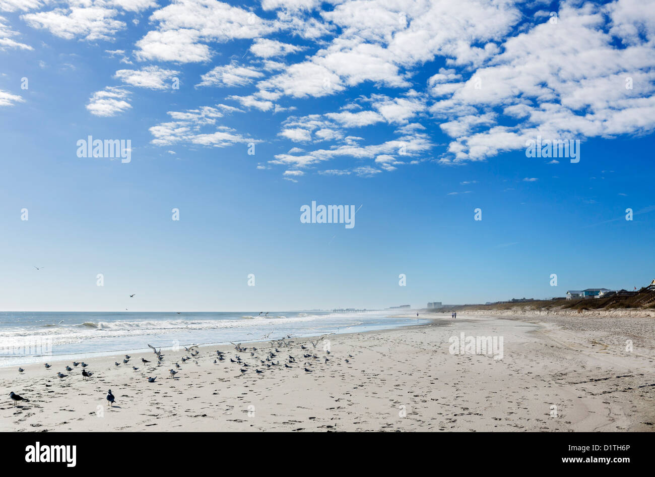 Seaside Park Beach, Fernandina Beach, Amelia Island, Florida, Stati Uniti d'America Foto Stock