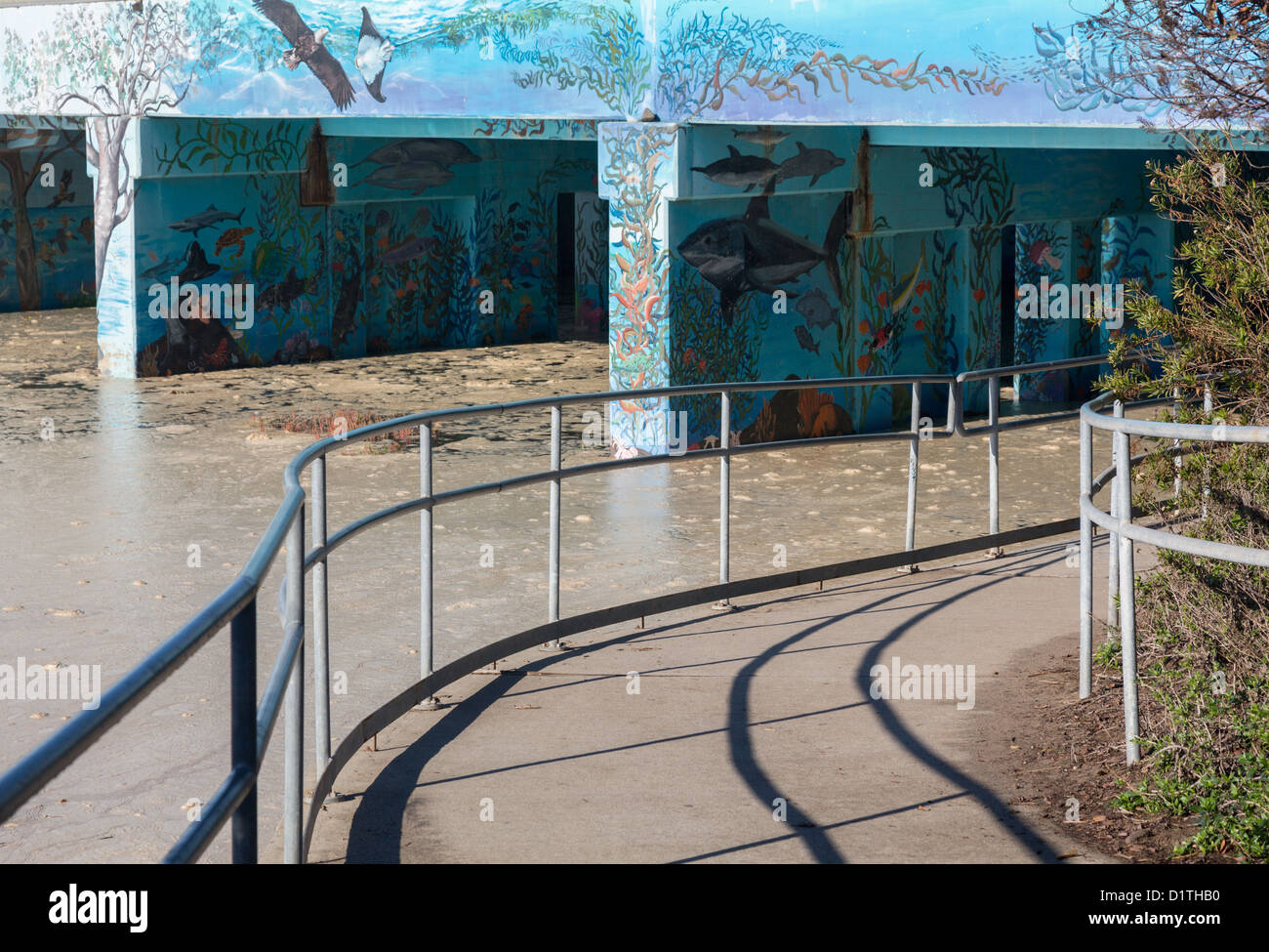 Schiuma bianca come l'inquinamento sull estuario del fiume da Leo Carrillo state beach e il mare in California Foto Stock