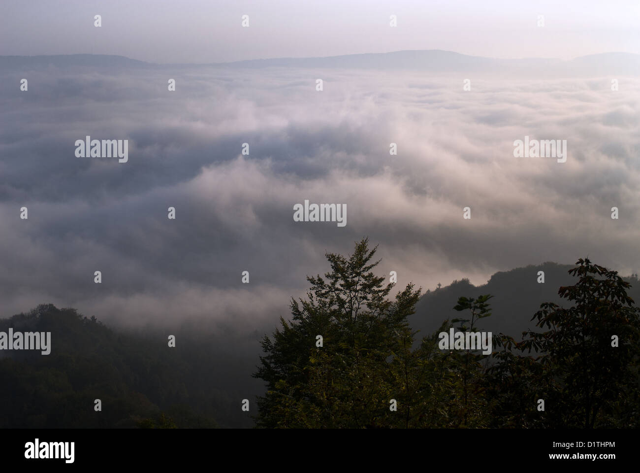 Zurigo, Svizzera, vista dall'Uetliberg a foggy valley Foto Stock