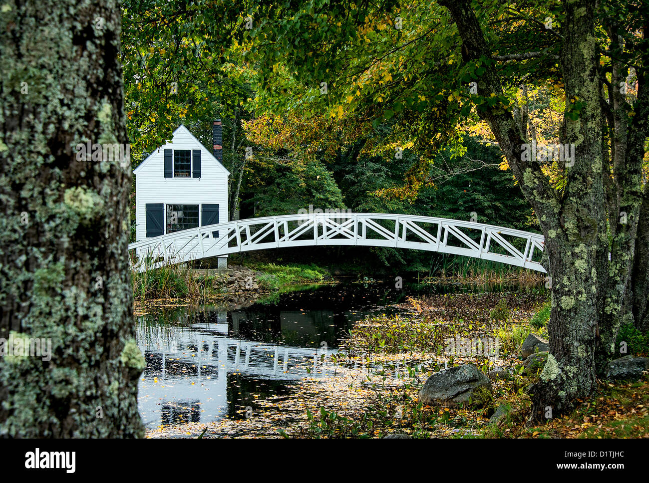 Il Footbridge, Somesville, Maine, Stati Uniti d'America Foto Stock