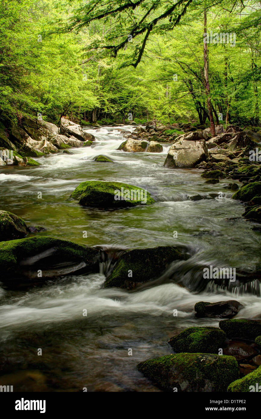 Fiume che scorre Cascades sul polo centrale piccolo fiume. Foto Stock
