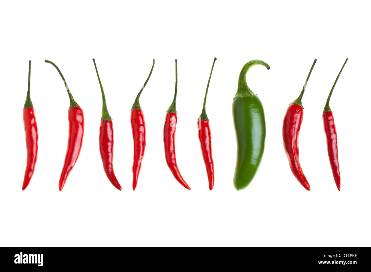 Bird's eye Chilis e un peperoncino jalapeno in una riga isolata su sfondo bianco Foto Stock