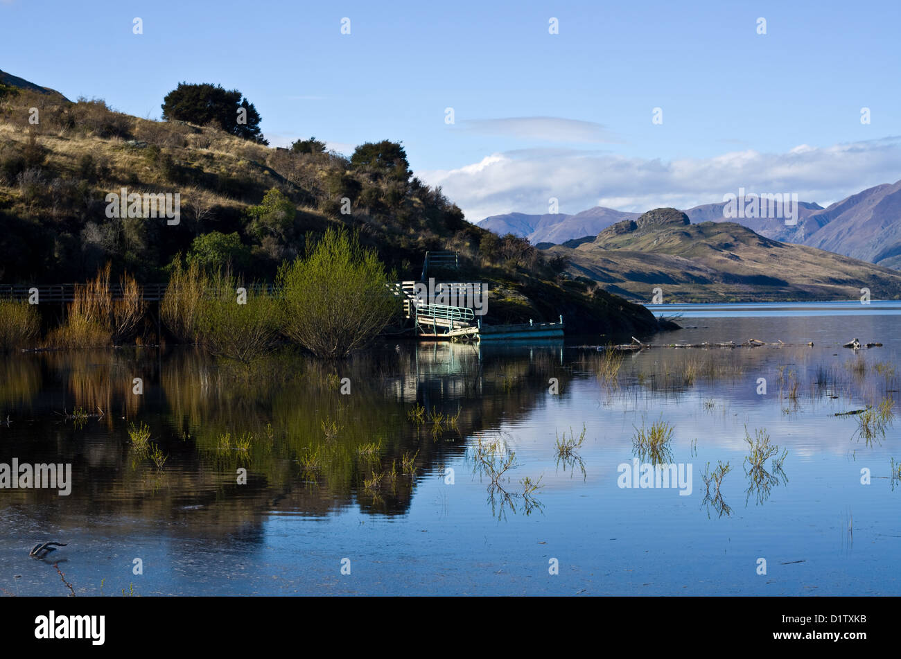 Jetty riflessa nel Lago Wanaka, Nuova Zelanda Foto Stock