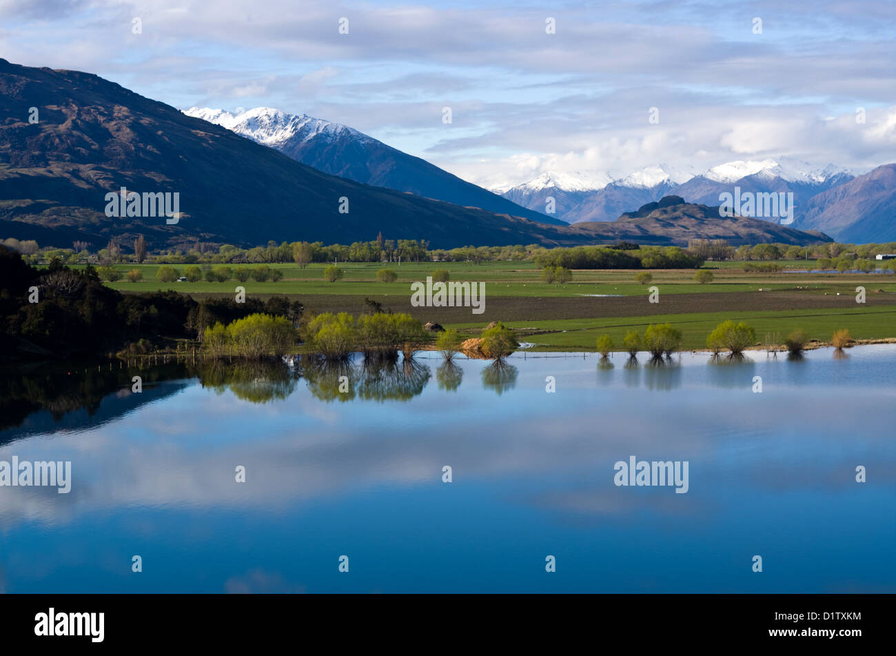 Gli alberi si riflette nel Lago Wanaka, Nuova Zelanda Foto Stock