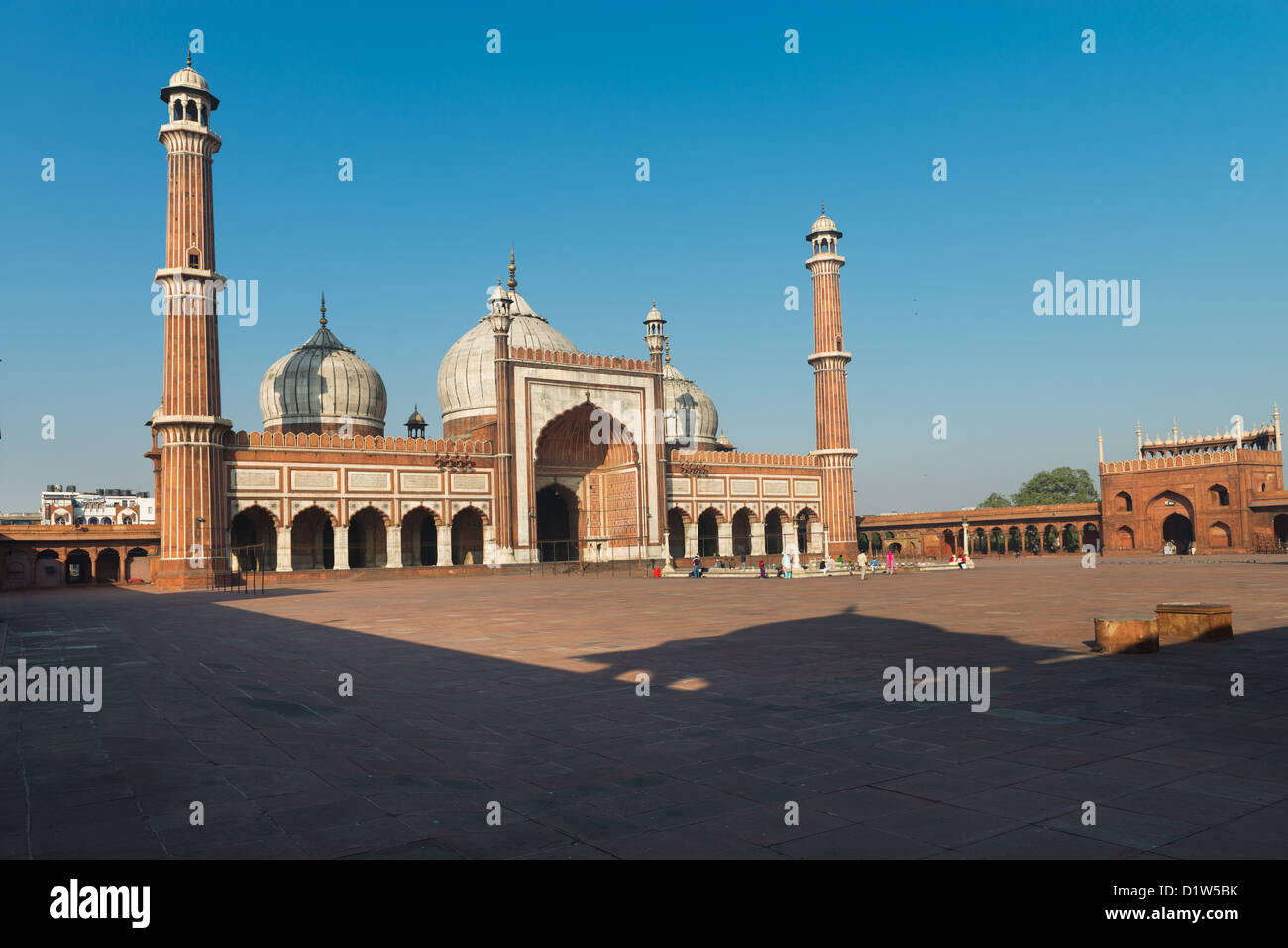 Jama Masjid moschea, la Vecchia Delhi, India sotto il cielo blu Foto Stock